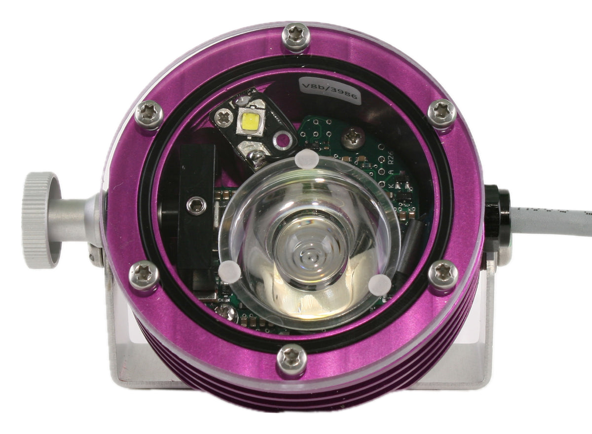 Scurion® Dive Models: Dive
