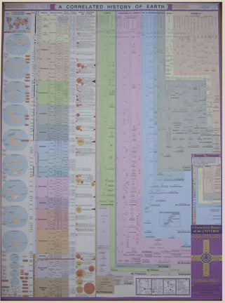 A Correlated History of Earth Poster