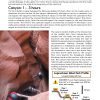 North Wash Canyoneering Second Edition