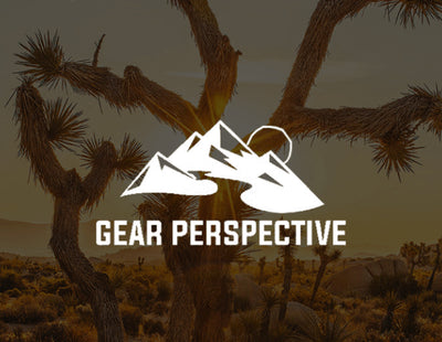 Gear Perspective