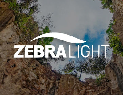 Zebra Light