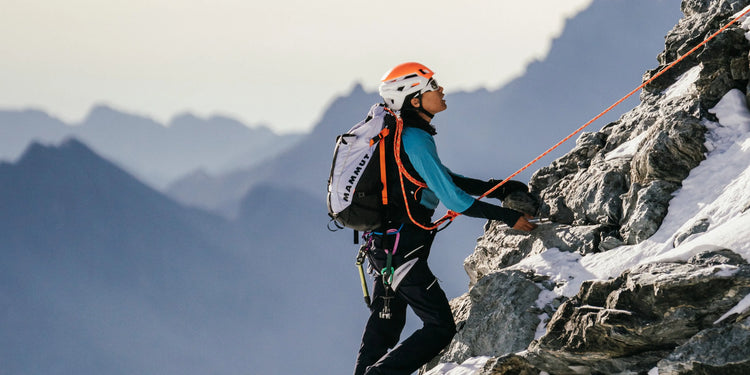 Mammut